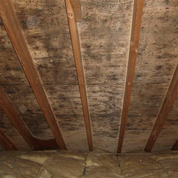 Photo of stained roof decking with mold