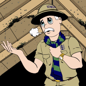 ATMOX Tom Graphic in cold attic