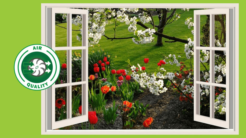Air quality, open window with spring flowers