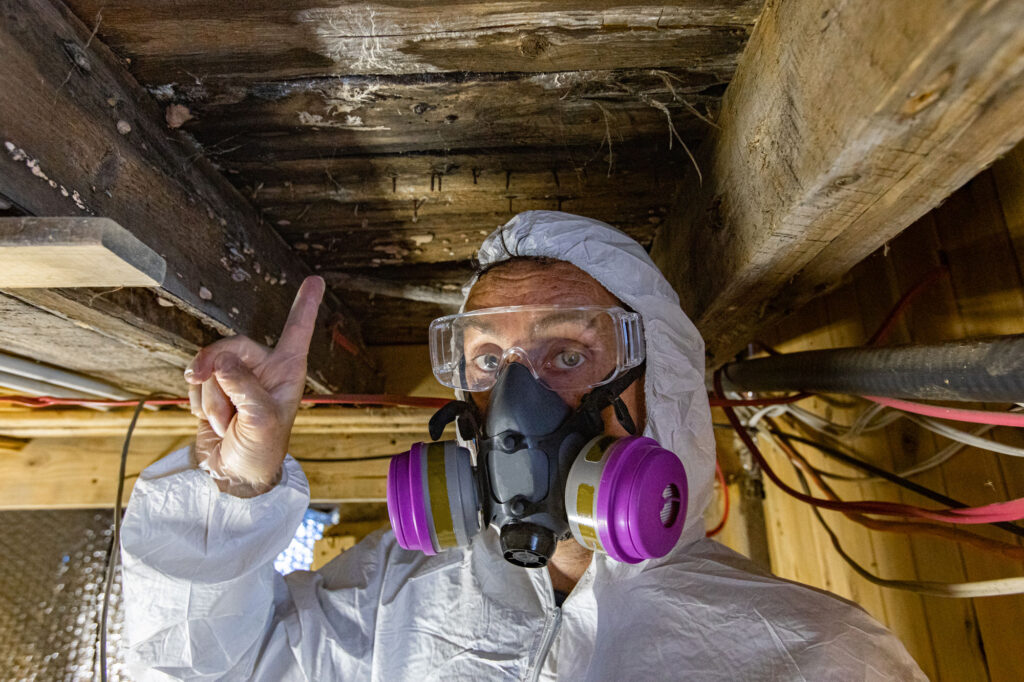 prevent mold and mildew in crawl spaces