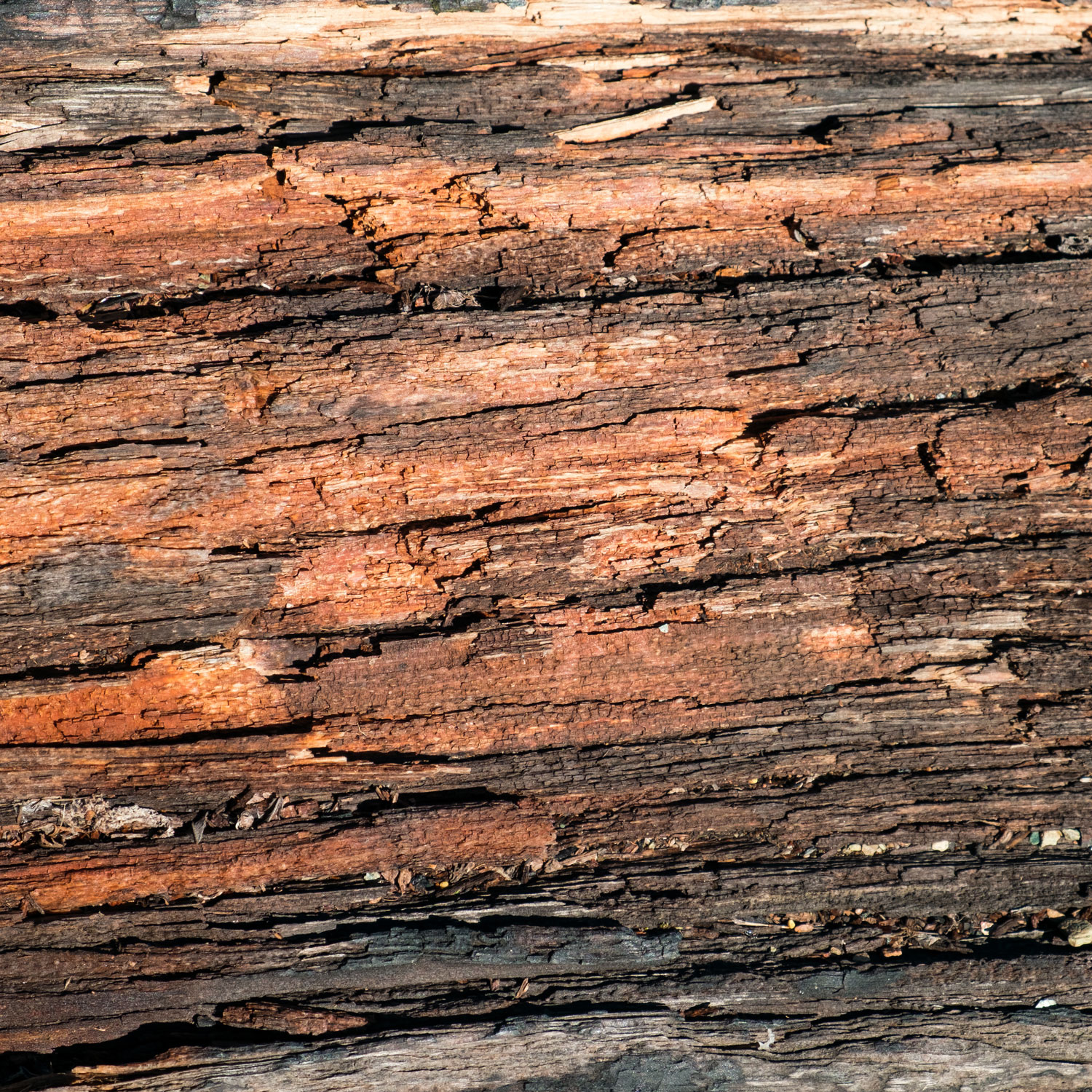 prevent structural rot