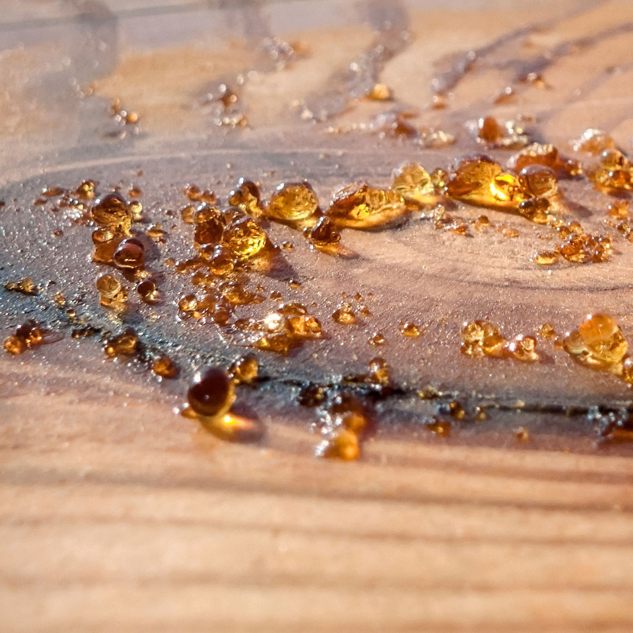 wood sapping causes structural damage