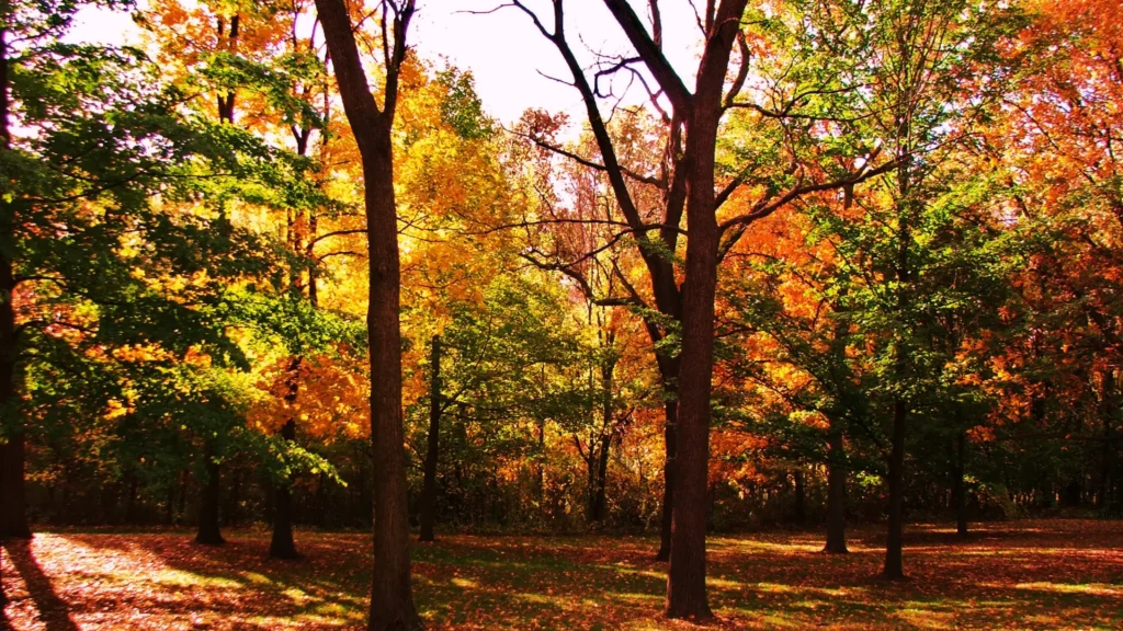 Shoulder Season for crawl space ventilation