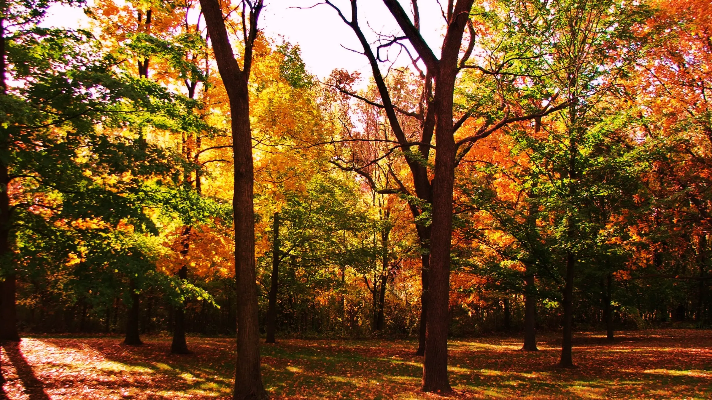 Shoulder Season for crawl space ventilation